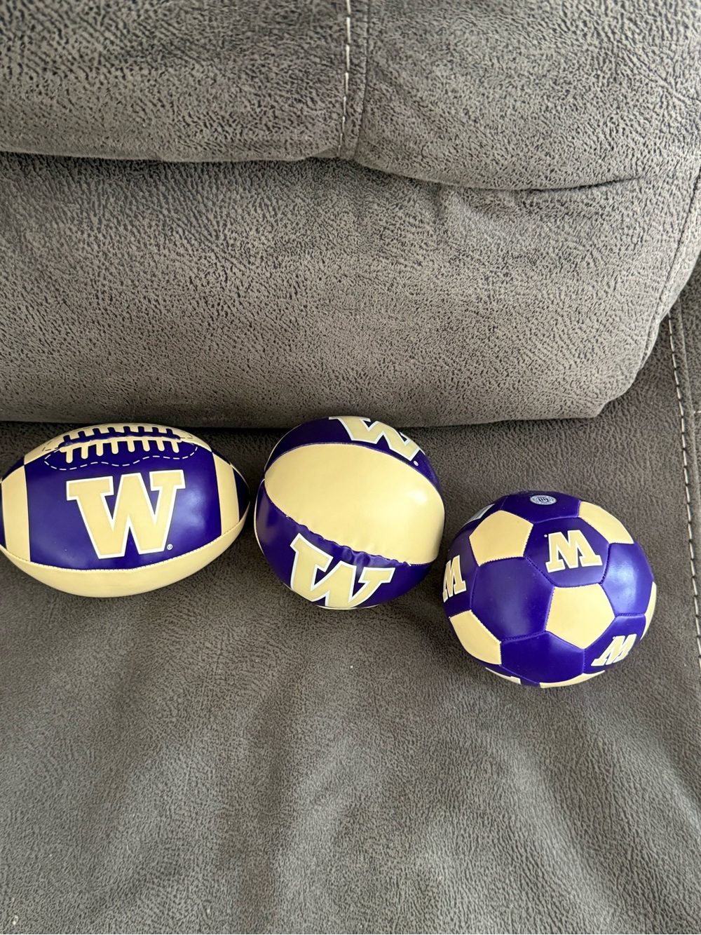 University of Washington Logo Purple and Gold Kids Balls